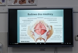 Galeria | WUMed | Warsztaty dla studentów położnictwa | Zdjęcie: 2