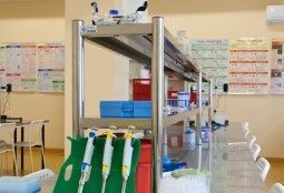 Galeria | WUMed | Pracownie biochemii i mikrobiologii | Zdjęcie: 14