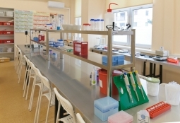 Galeria | WUMed | Pracownie biochemii i mikrobiologii | Zdjęcie: 21